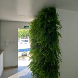 WhatsApp Image 2022-10-11 at 20.36.16